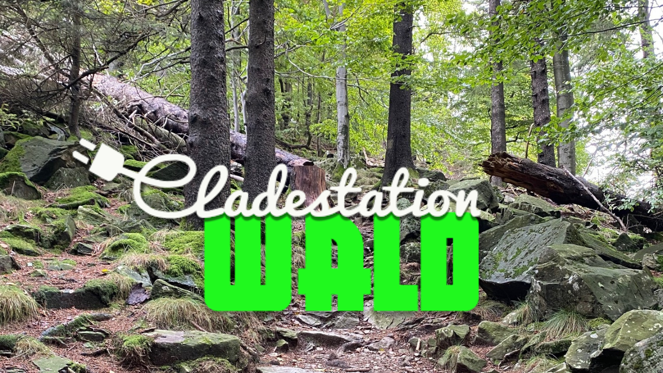 Ladestation Wald